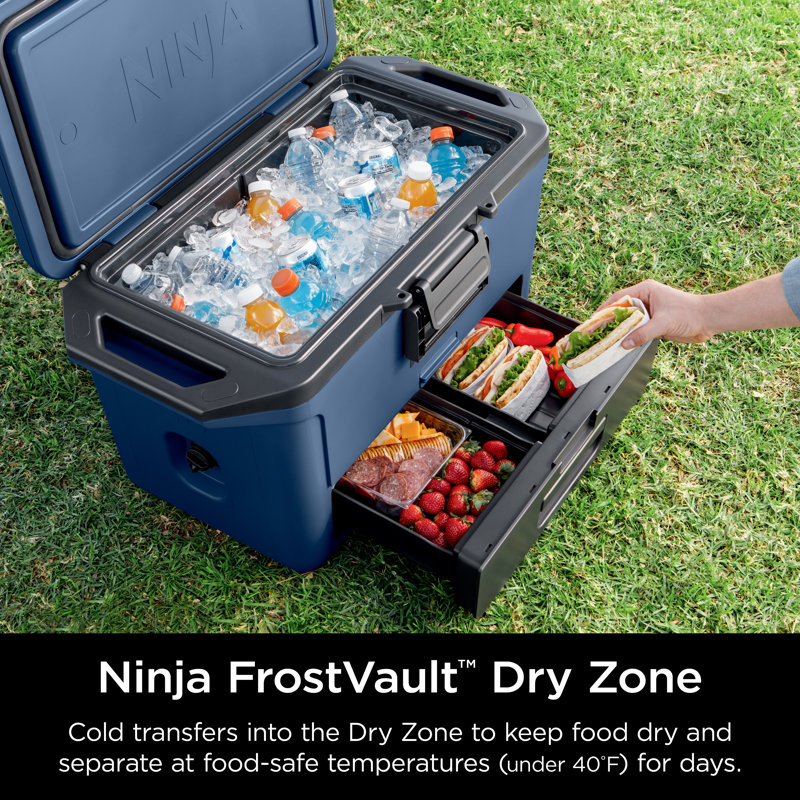 Ninja Frostvault 50qt Hard Cooler With Dry Zone & Reviews | Wayfair